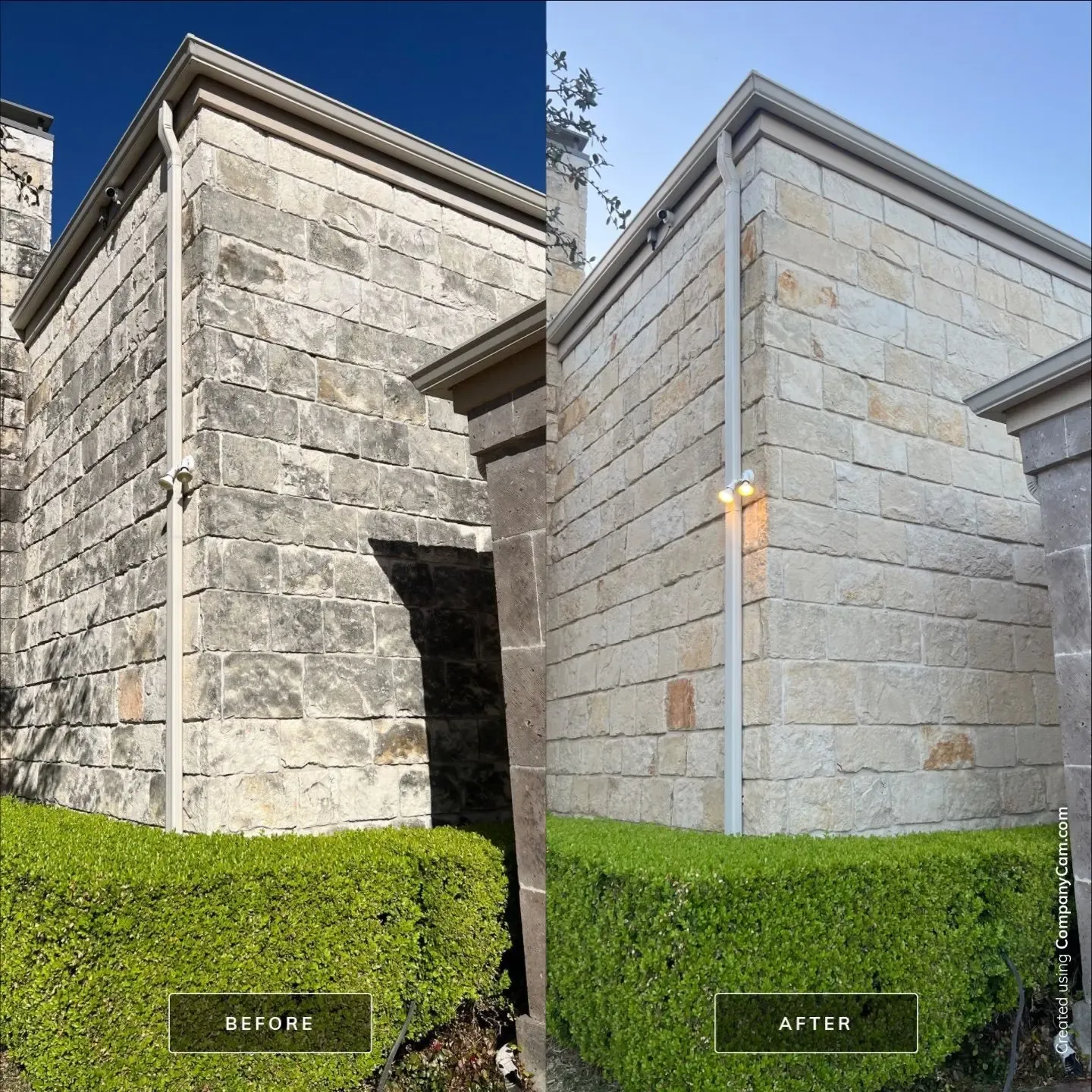 Before and after soft wash of a limestone wall corner above hedges with algae staining removed in McKinney, TX