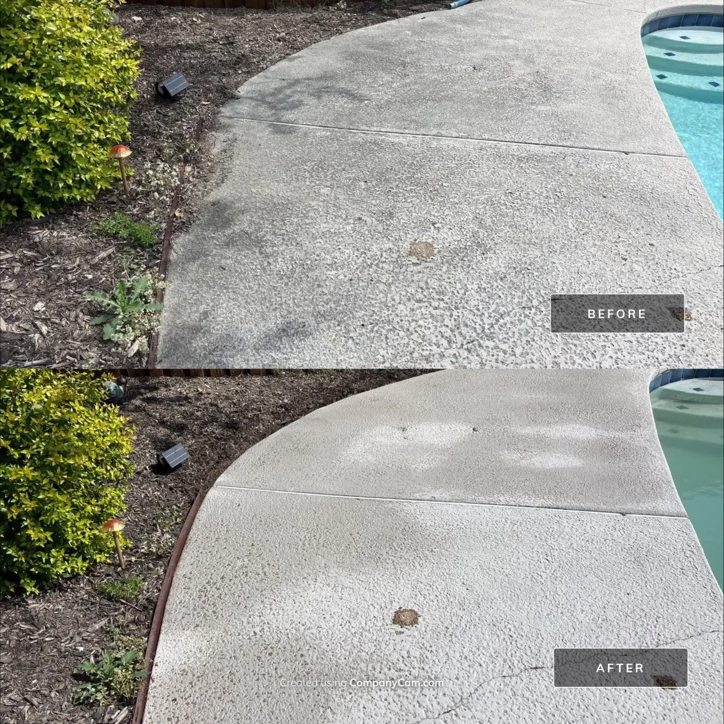 Before and after cleaning of a spray textured concrete pool deck, gray staining removed along the landscape edge in Richardson, TX